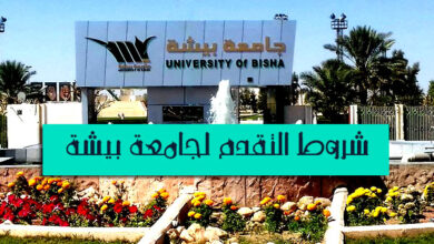 جامعة بيشة
