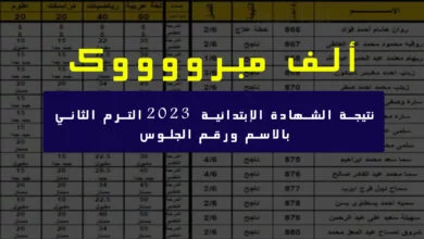 نتيجة الشهادة الابتدائية 2023 بالاسم ورقم الجلوس