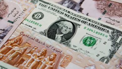 سعر الدولار اليوم في البنوك بعد التعويم في مصر