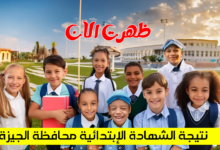 نتيجة الشهادة الابتدائية محافظة الجيزة 2024