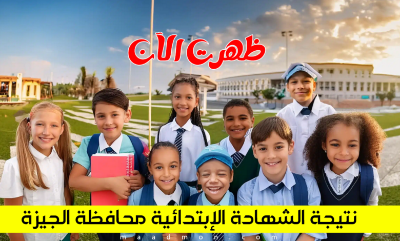 نتيجة الشهادة الابتدائية محافظة الجيزة 2024