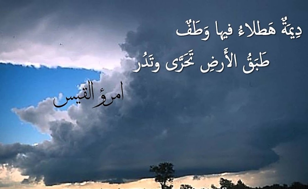 ديمة هطلاء فيها وطف