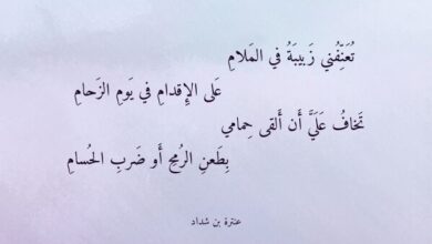 تعنفني زبيبة في الملام