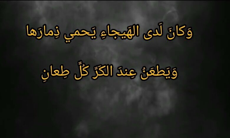 وكان لدى الهيجاء يحمي ذمارها