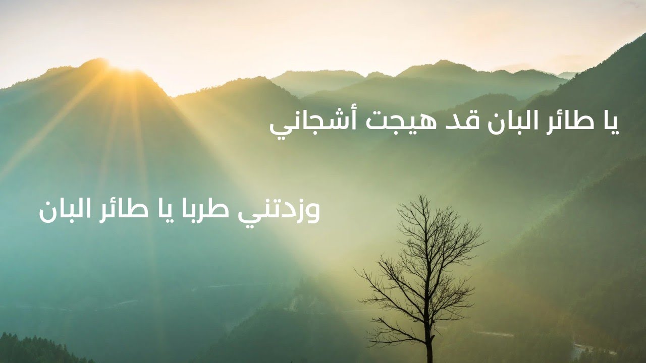 يا طائر البان قد هيجت أشجاني